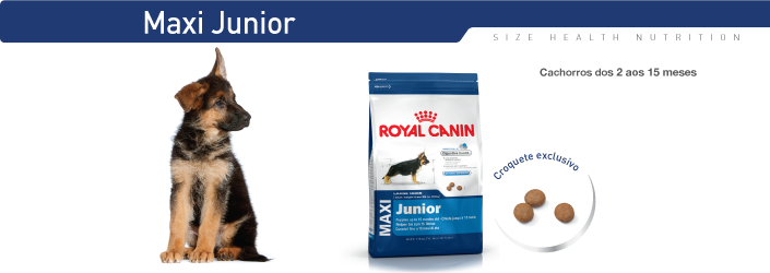 Royal Canin Maxi Junior